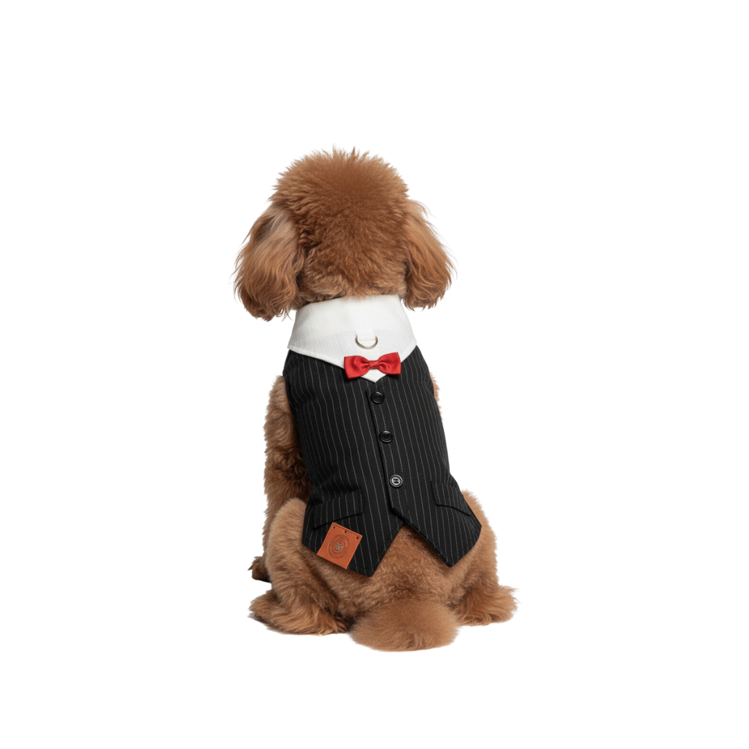 Tuxedo Dog Vest | Pinstripe with White Shirt & Red Bow – Barking