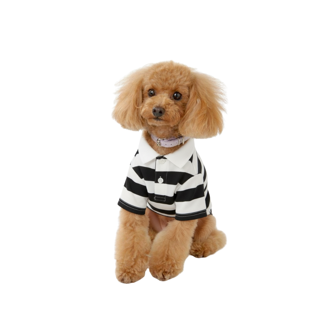 Boys Shirts & Jerseys