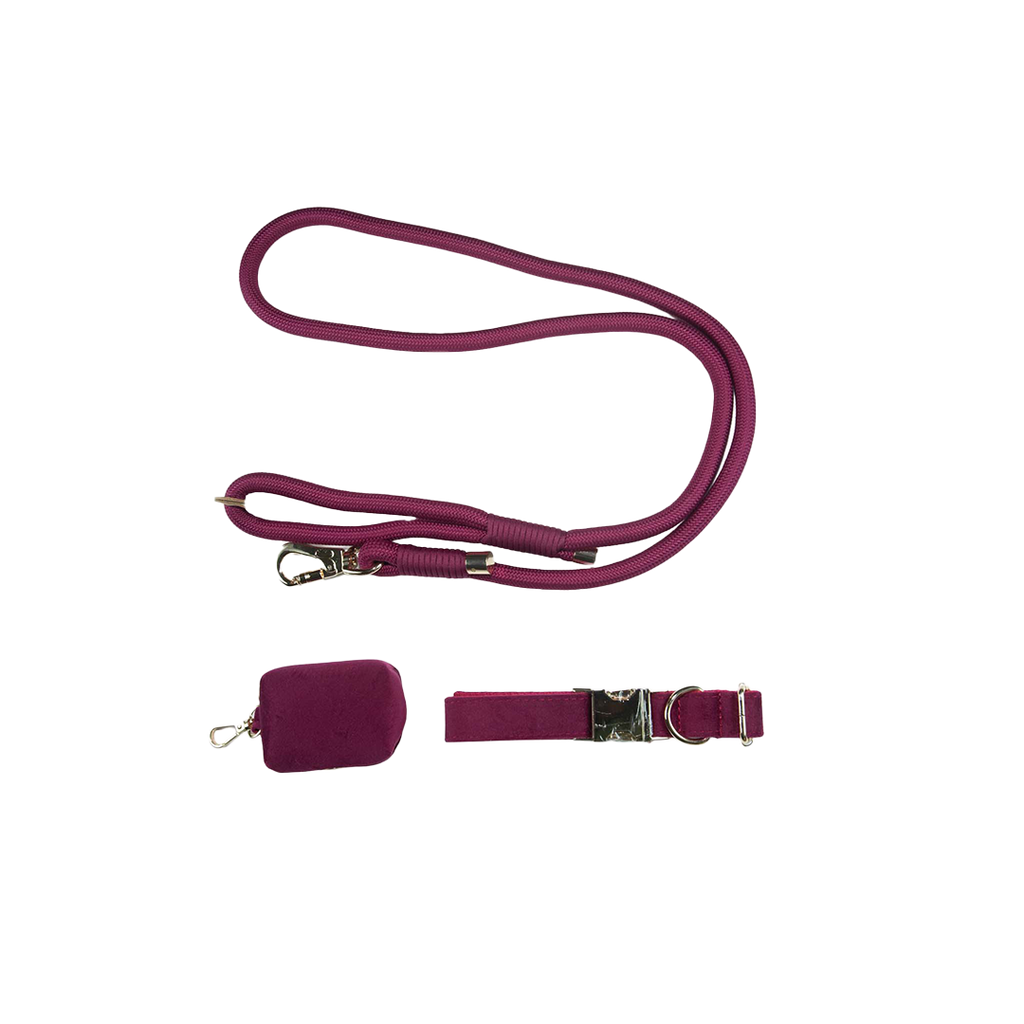 City Walk Leash - Trio Set