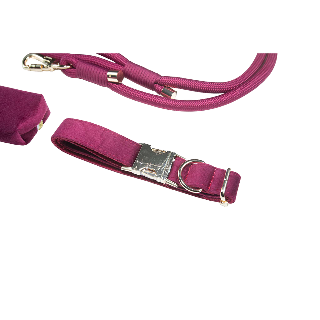 City Walk Leash - Trio Set