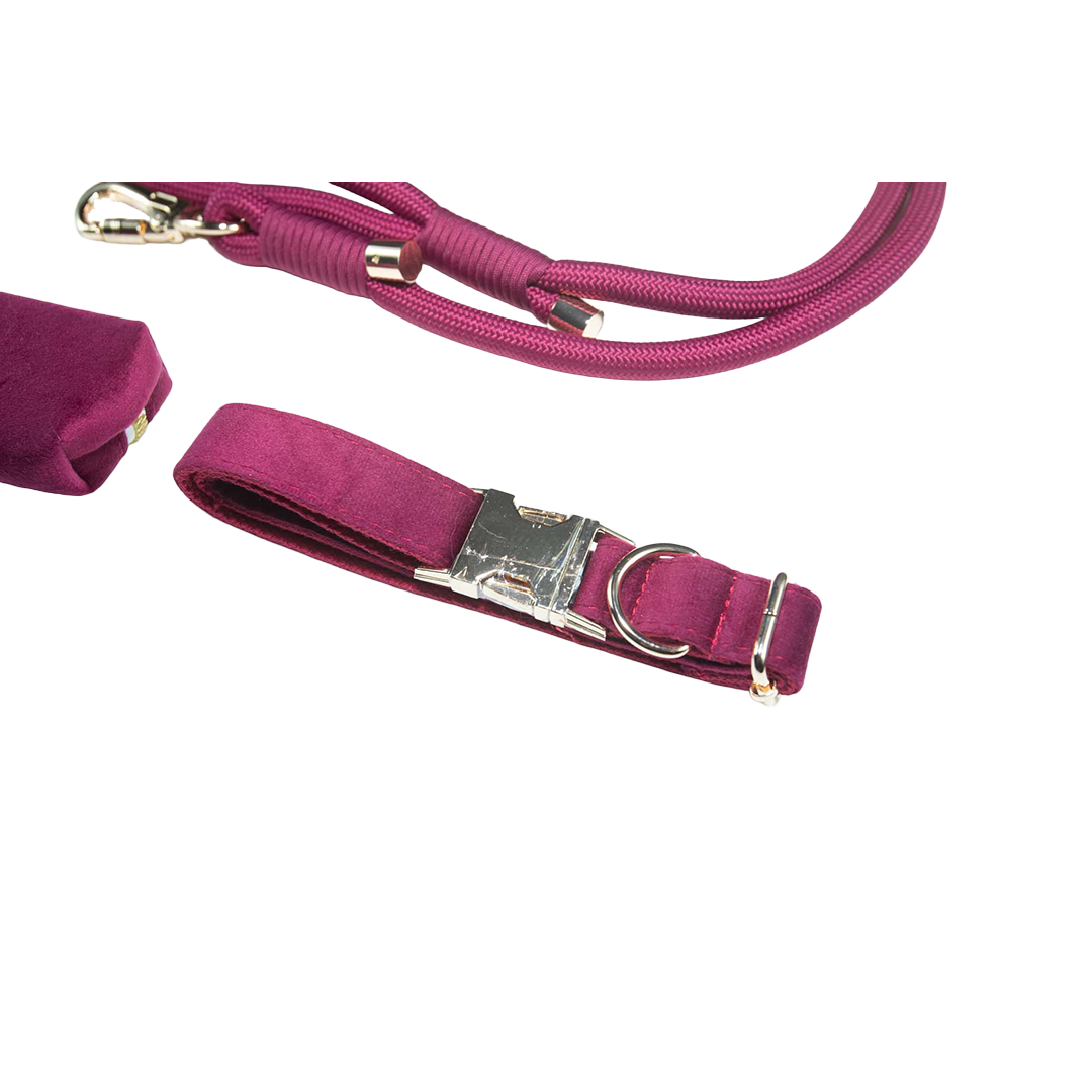 City Walk Leash - Trio Set