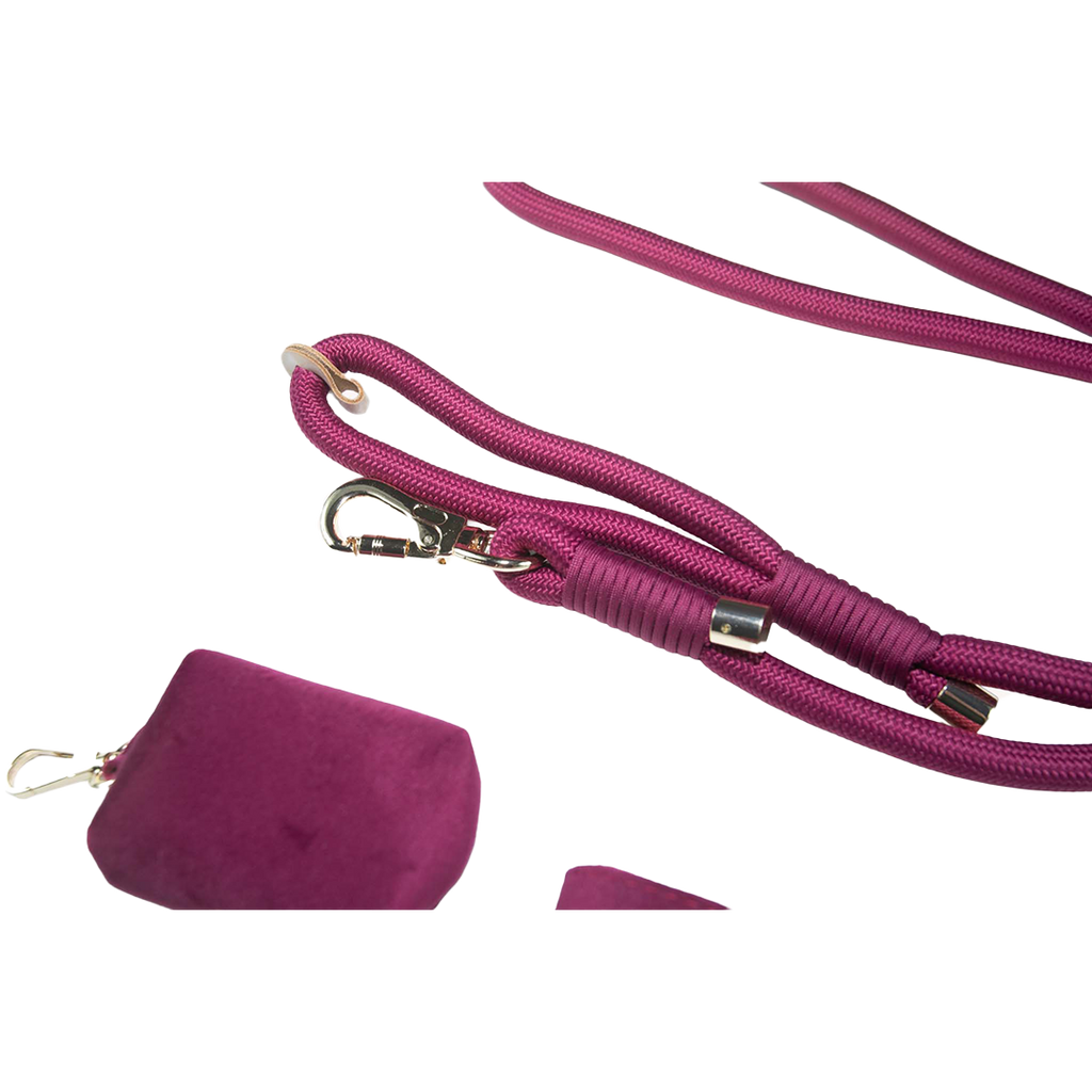 City Walk Leash - Trio Set