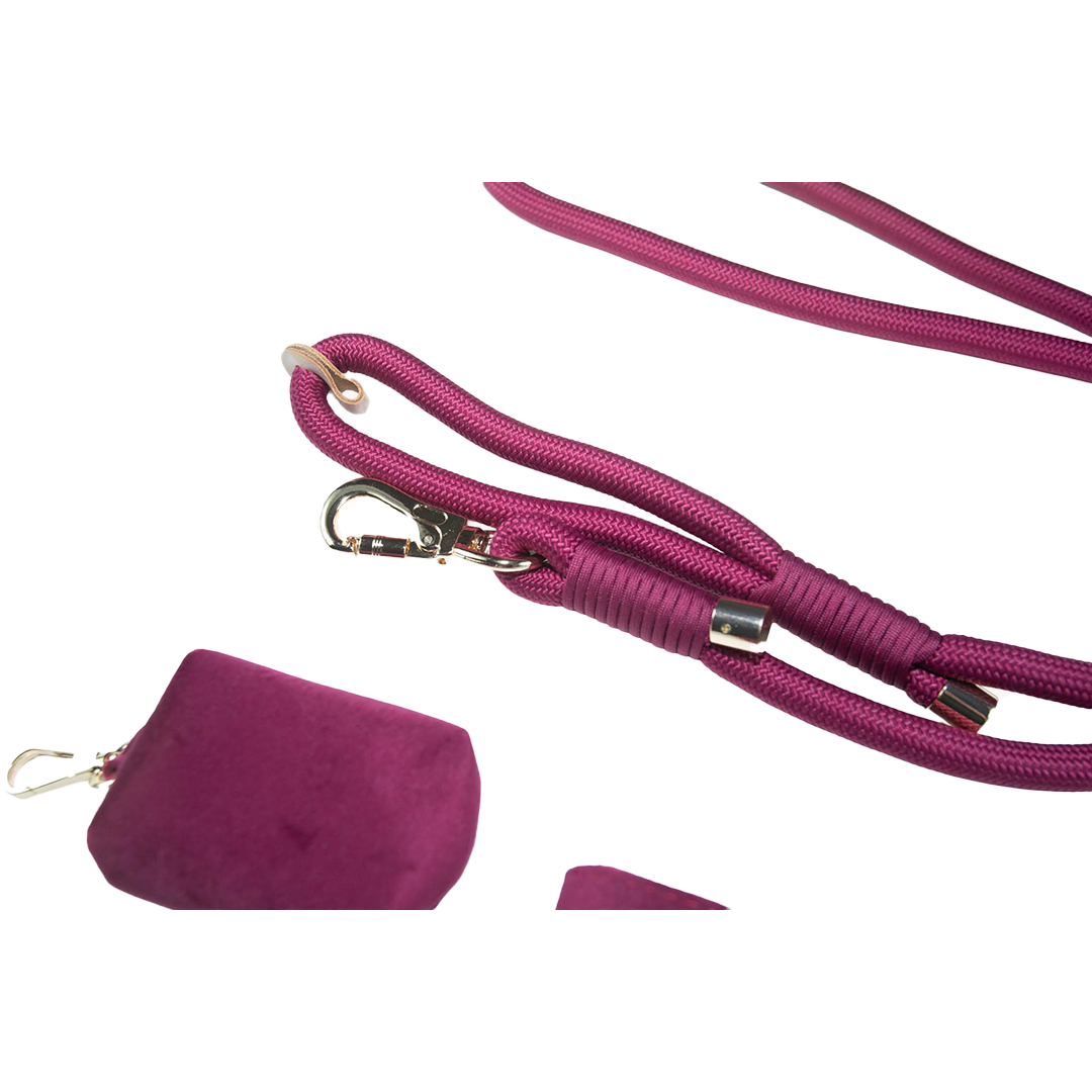 City Walk Leash - Trio Set