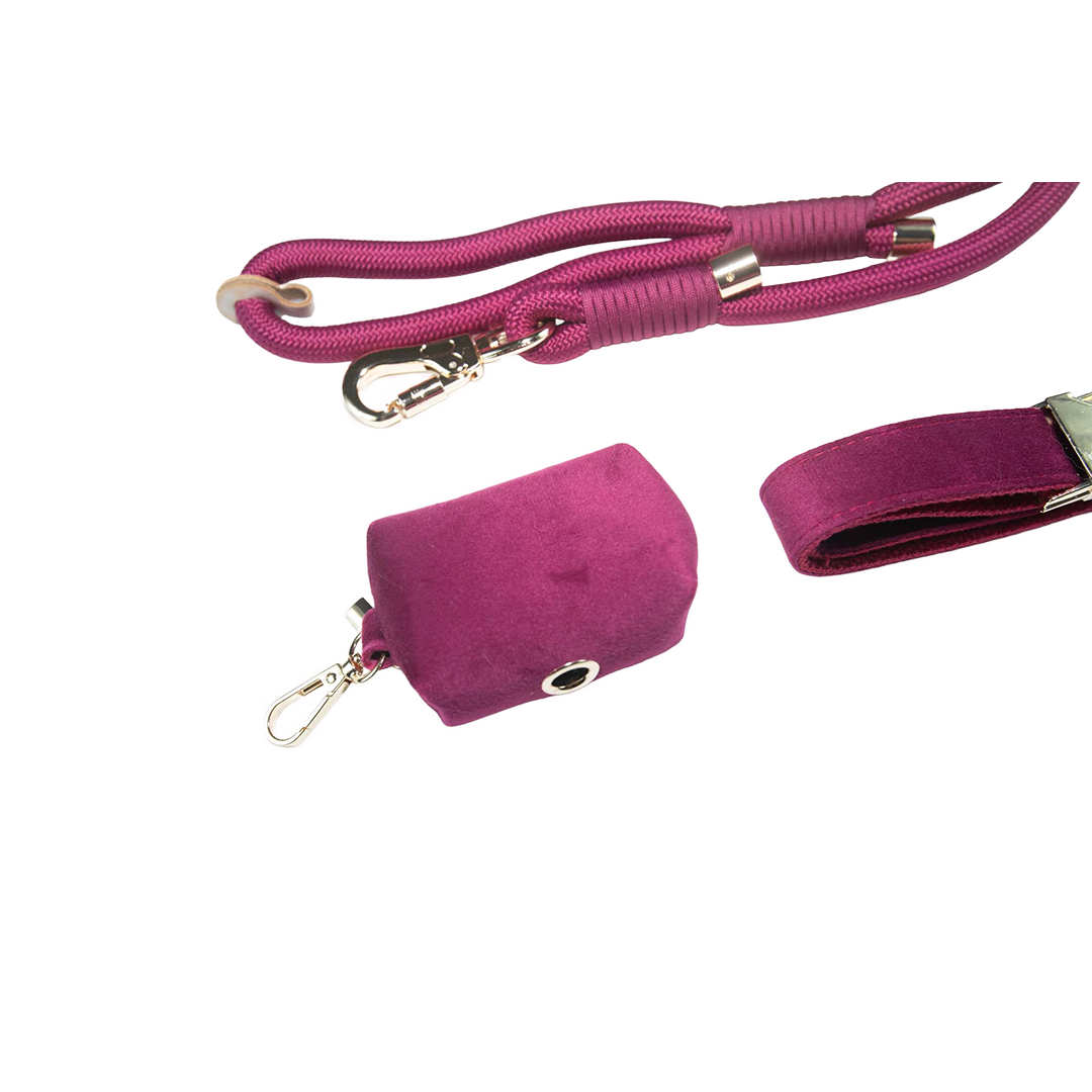 City Walk Leash - Trio Set