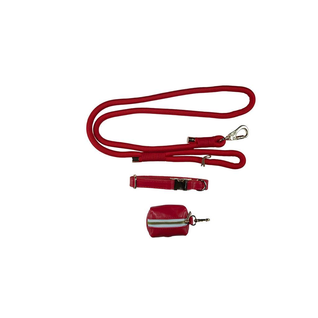 City Walk Leash - Trio Set
