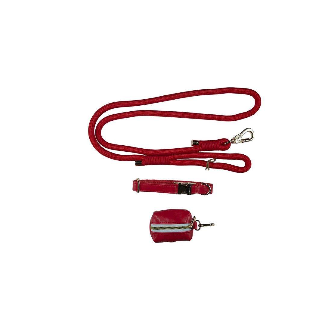 City Walk Leash - Trio Set