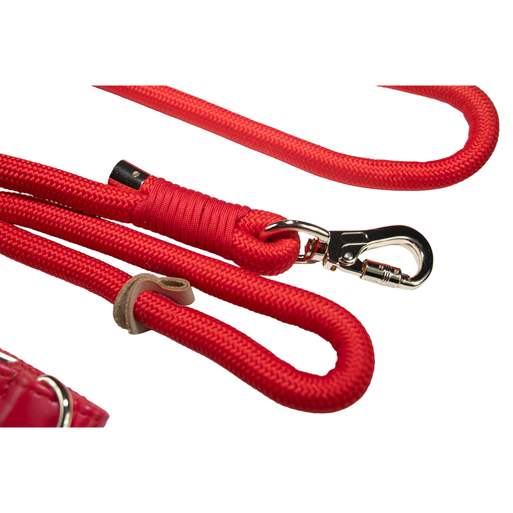 City Walk Leash - Trio Set