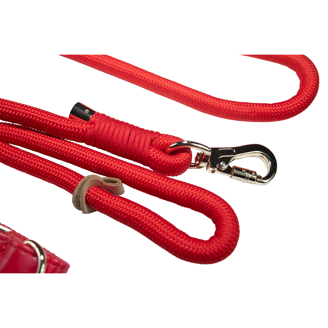 City Walk Leash - Trio Set