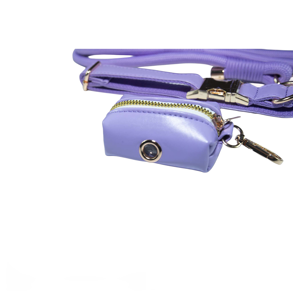 City Walk Leash - Trio Set