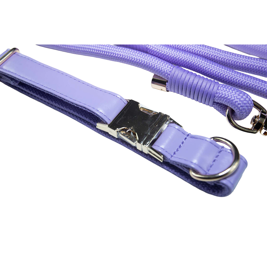 City Walk Leash - Trio Set