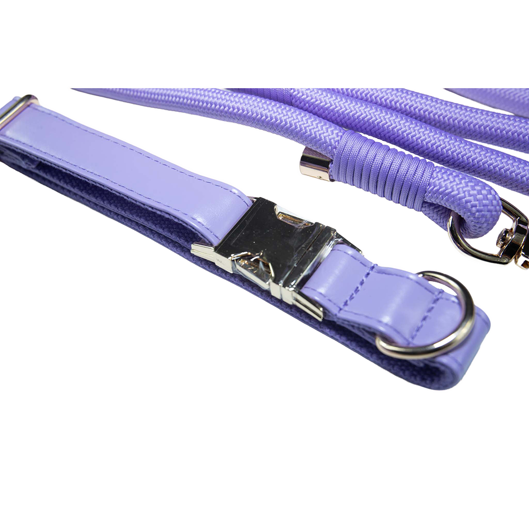 City Walk Leash - Trio Set