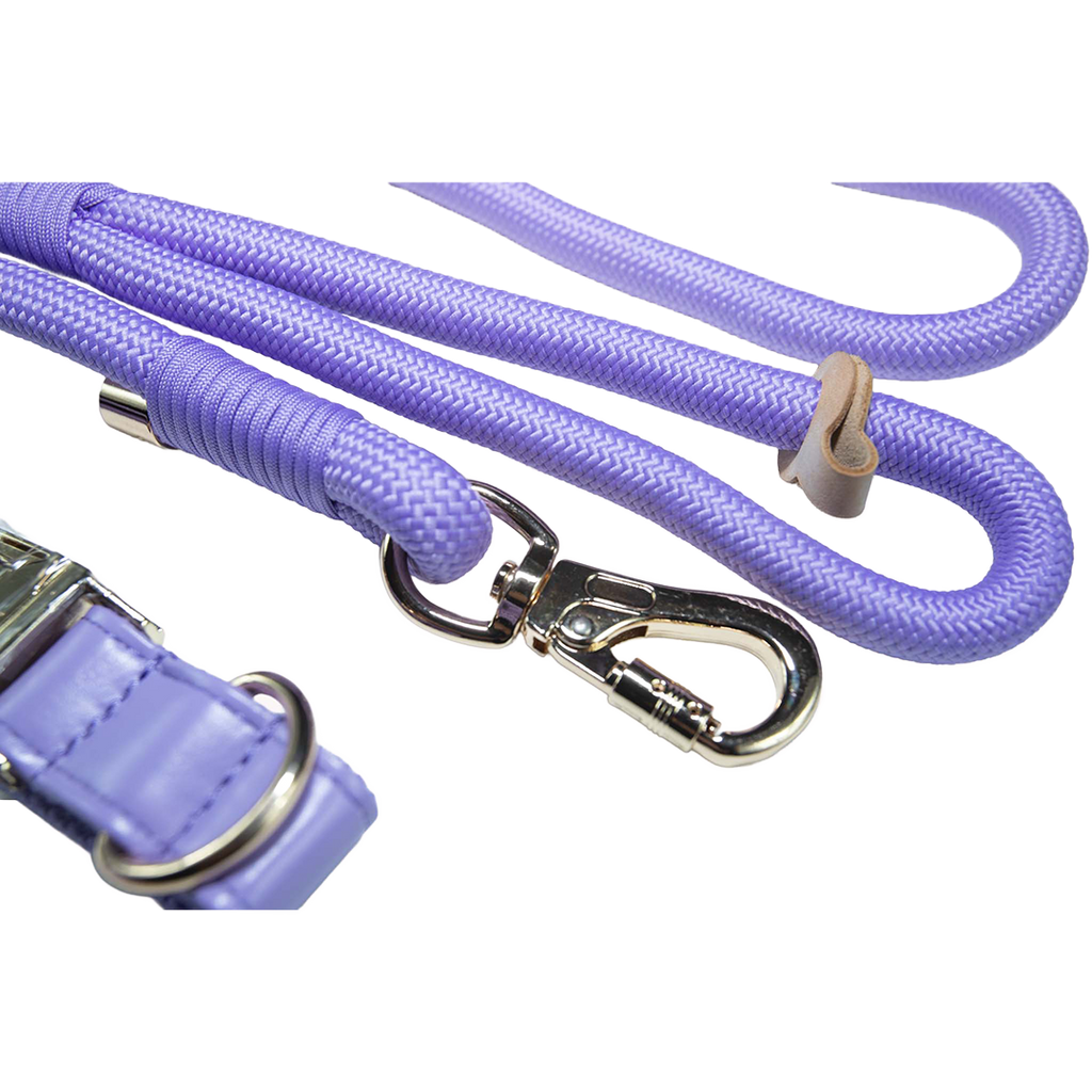 City Walk Leash - Trio Set
