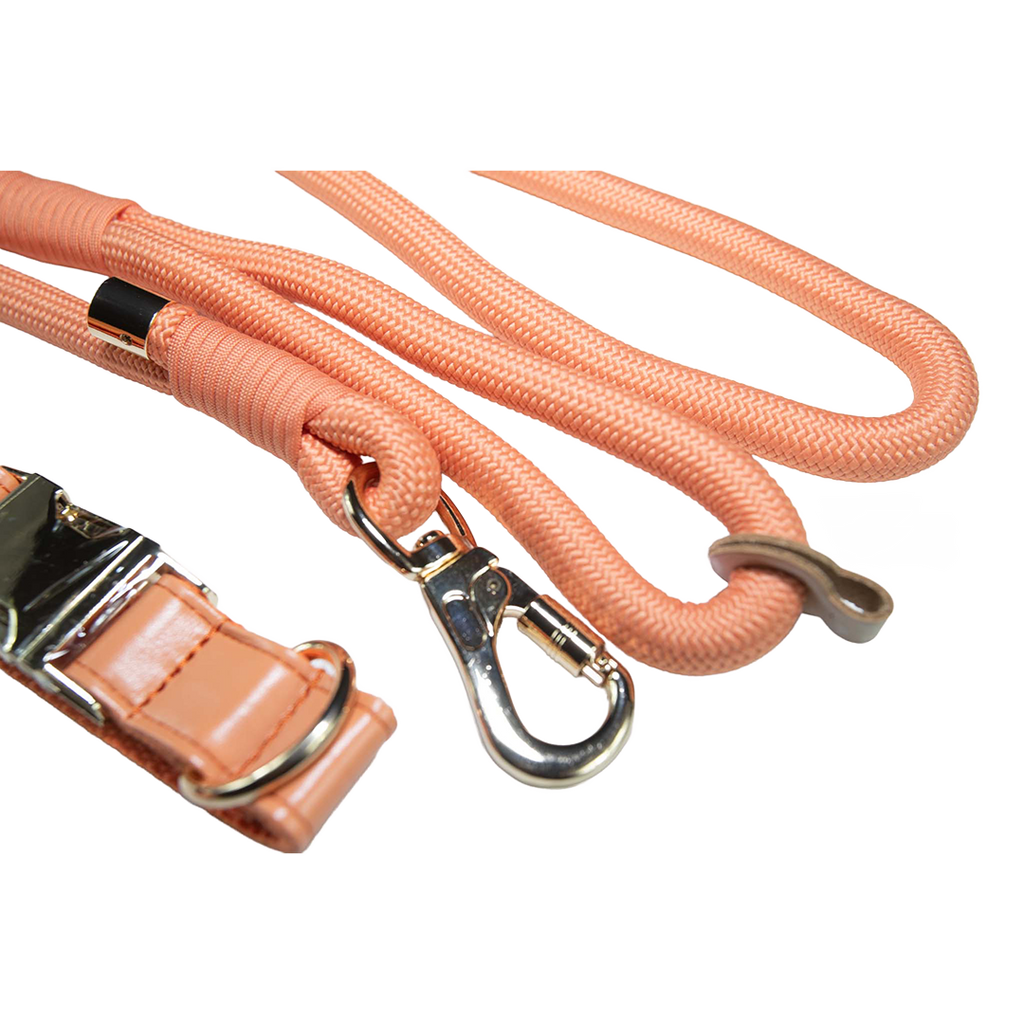 City Walk Leash - Trio Set