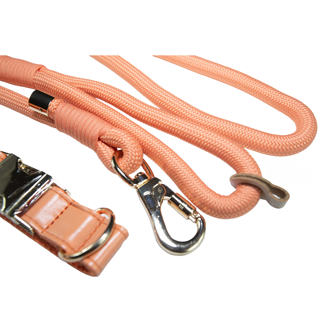 City Walk Leash - Trio Set