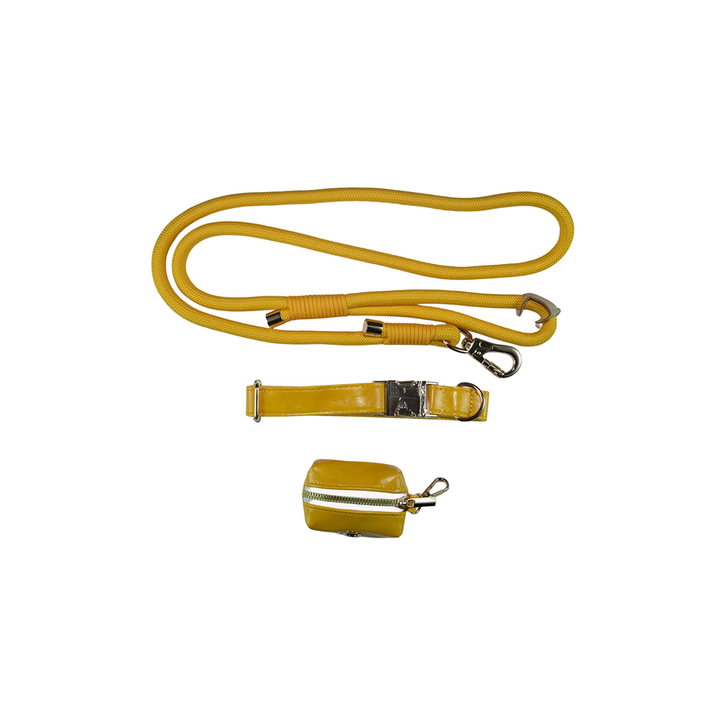 City Walk Leash - Trio Set