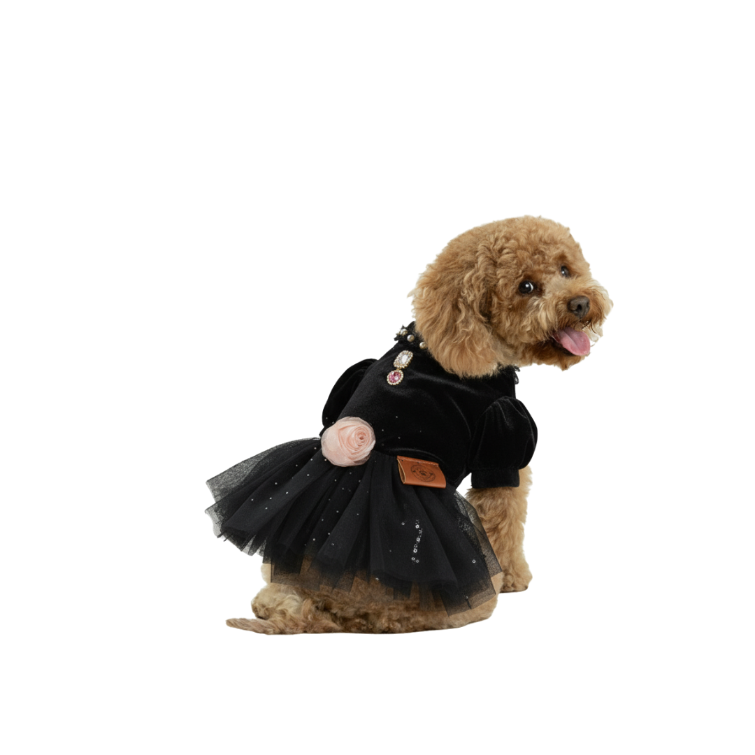 Black Swan Dog Dress
