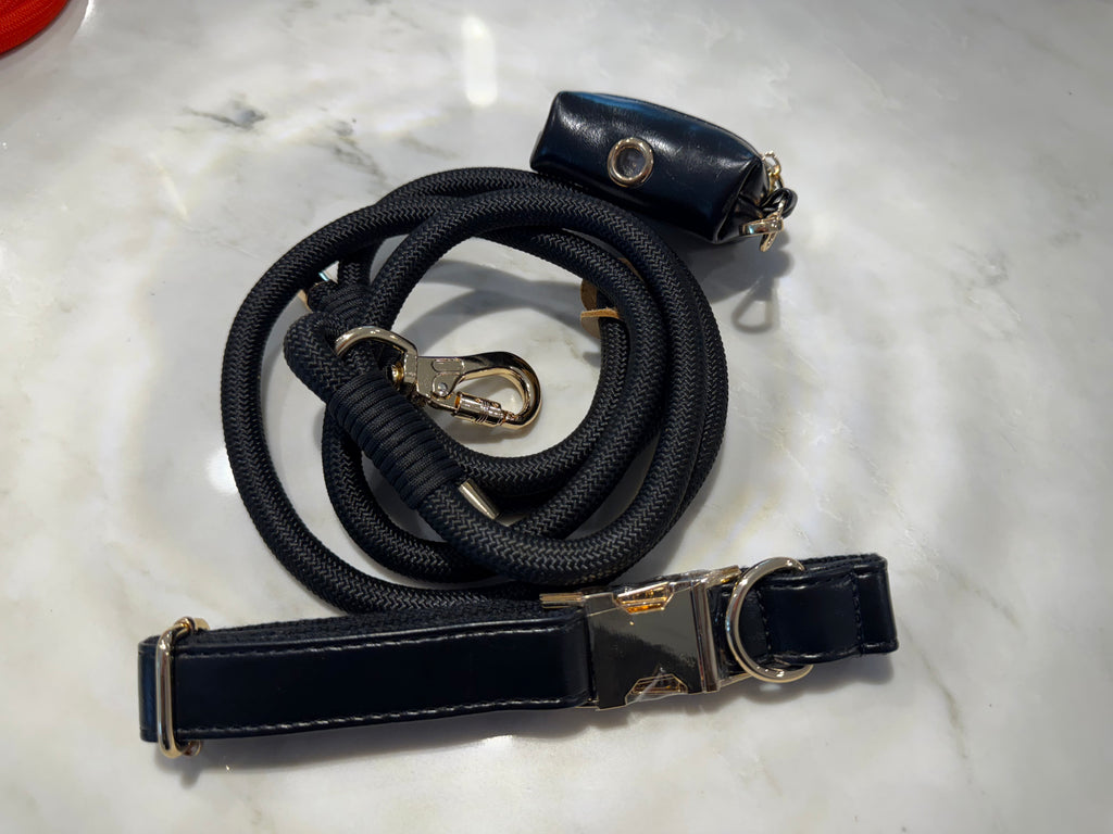 City Walk Leash - Trio Set