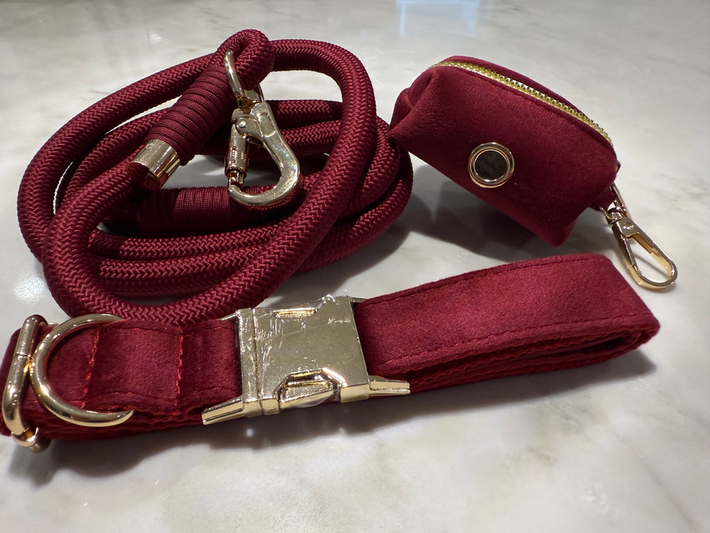 City Walk Leash - Trio Set