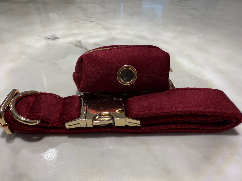 City Walk Leash - Trio Set
