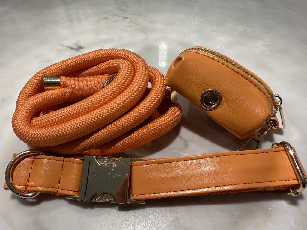 City Walk Leash - Trio Set