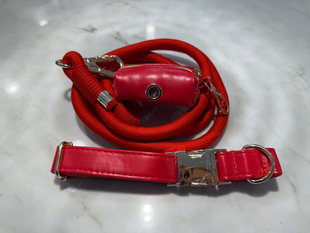City Walk Leash - Trio Set