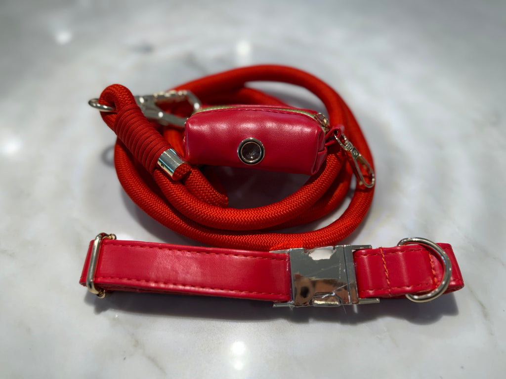 City Walk Leash - Trio Set