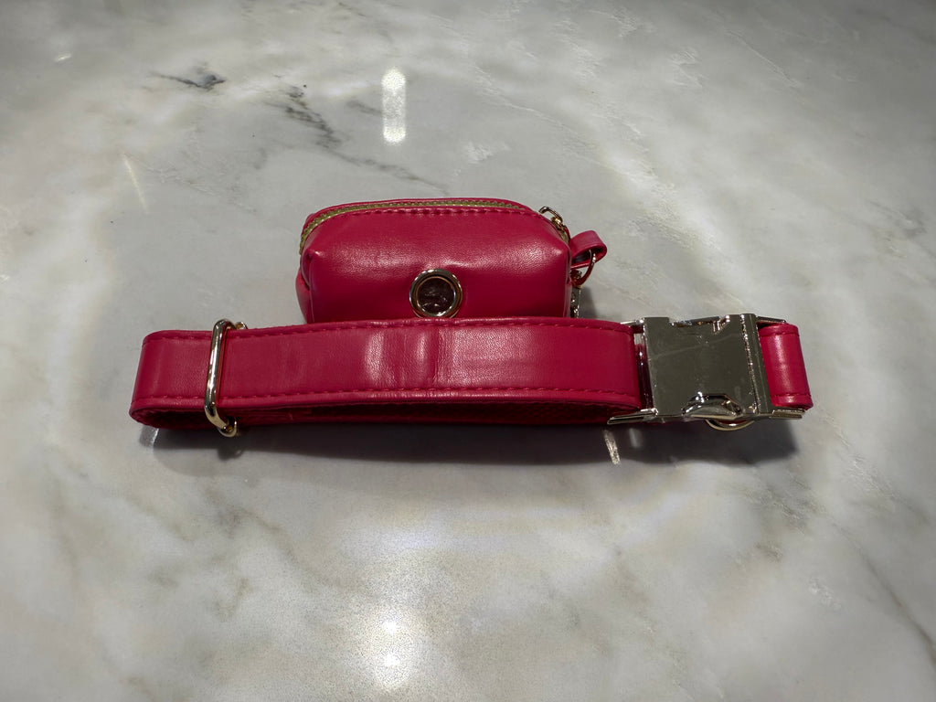 City Walk Leash - Trio Set