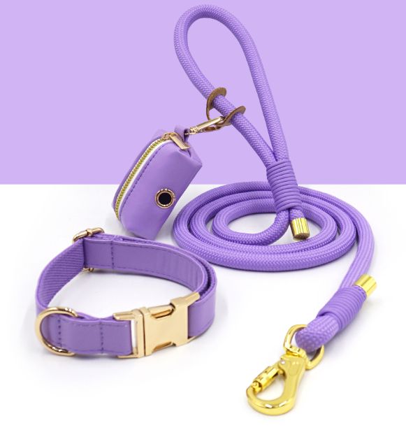 City Walk Leash - Trio Set