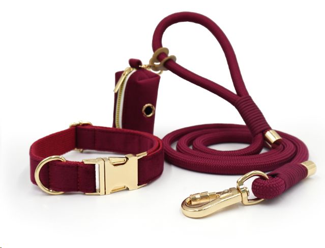 City Walk Leash - Trio Set
